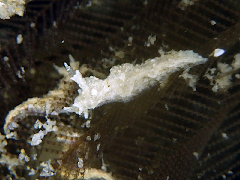 4149a